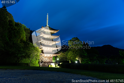 Image of Rurikoji Temple Pagoda at night