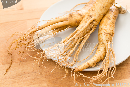 Image of Korean ginseng