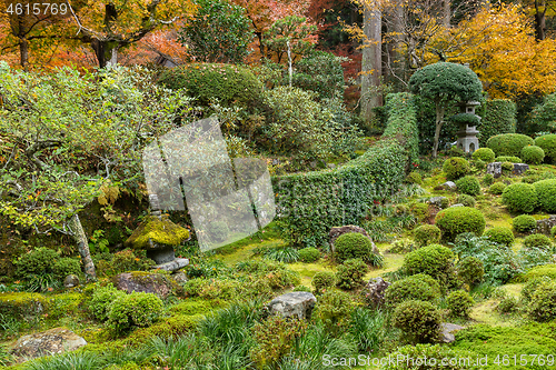 Image of Beautiful autumn park