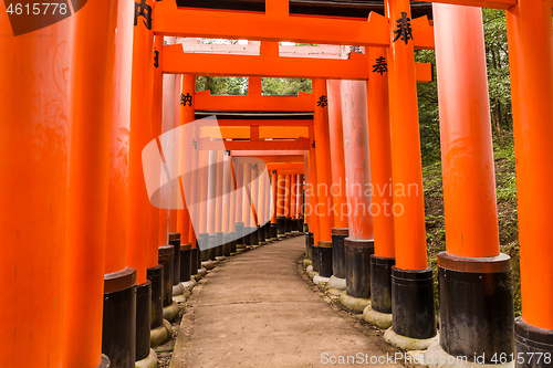Image of Fushimi Inari Shrine in Kyoto