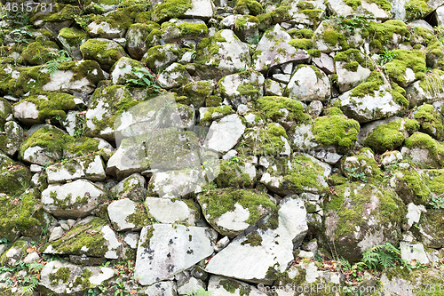 Image of Old Brick Wall with Moss