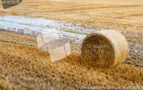 Image of stack of straw