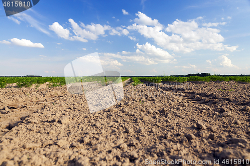 Image of plowed land, close-up