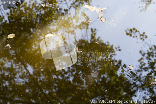 Image of pool of mud