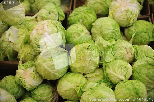 Image of Group of green cabbages