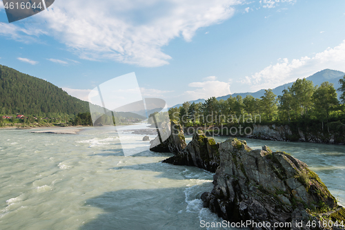 Image of Fast mountain river Katun