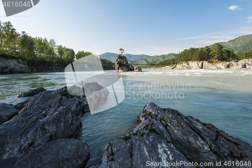 Image of Fast mountain river Katun