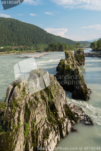 Image of Fast mountain river Katun