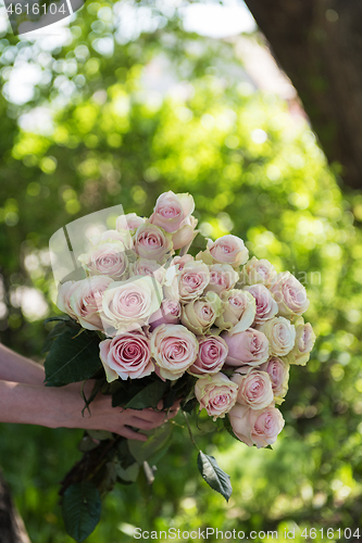 Image of Female hands holding beauty bouquet of red roses