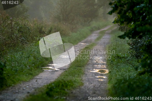 Image of Puddles on the country woods road in misty morning.