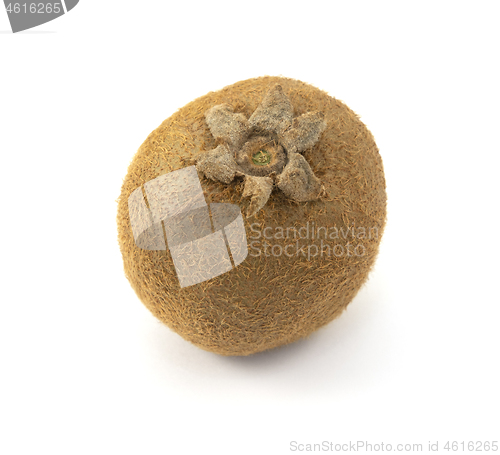 Image of One kiwi fruit with hairy skin, showing six sepals