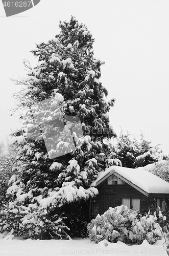 Image of Tranquil snowy scene of a wooden hut covered in snow