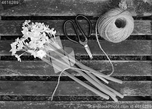 Image of Ball of twine and scissors with bunch of white narcissi