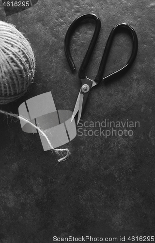 Image of Florist scissors with hessian twine