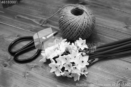 Image of Florist scissors with white narcissi and ball of twine
