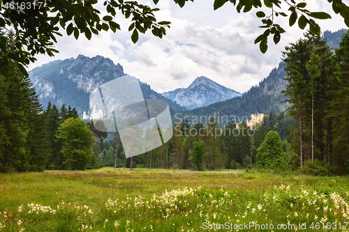 Image of Palace Neuschwanstein and Hohenschwangau