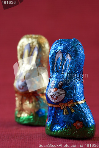 Image of easter bunnys