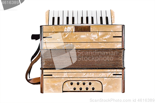 Image of Old Accordion on the White