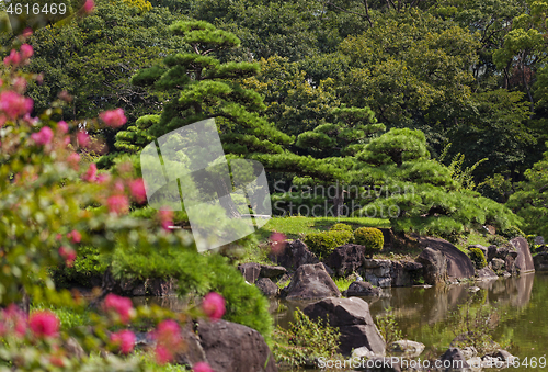 Image of Beautiful japanese traditional park in summer time