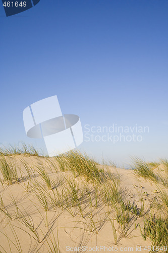 Image of dune at the beach