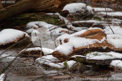 Image of Snow melting over wood debris