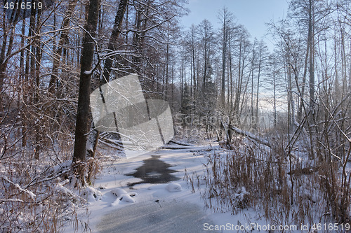 Image of Winter landscape of frozen Lesna River