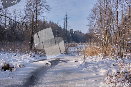 Image of Winter landscape of frozen Lesna River