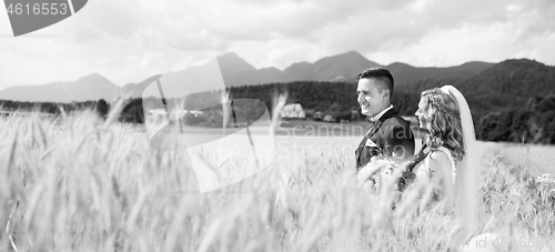 Image of Bride hugs groom tenderly in wheat field somewhere in Slovenian countryside.