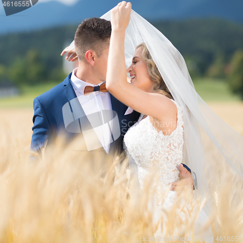 Image of Groom hugs bride tenderly while wind blows her veil in wheat field somewhere in Slovenian countryside.