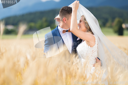 Image of Groom hugs bride tenderly while wind blows her veil in wheat field somewhere in Slovenian countryside.