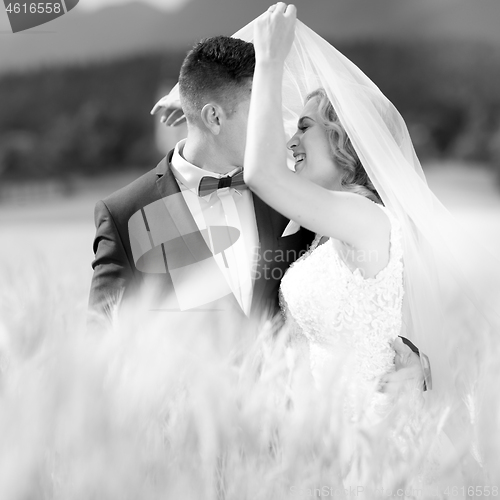 Image of Groom hugs bride tenderly while wind blows her veil in wheat field somewhere in Slovenian countryside.