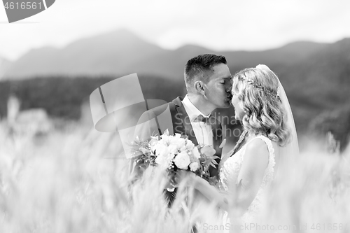 Image of Groom hugging bride tenderly and kisses her on forehead in wheat field somewhere in Slovenian countryside.