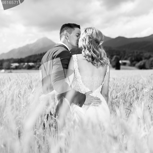 Image of Bride and groom kissing and hugging tenderly in wheat field somewhere in Slovenian countryside.