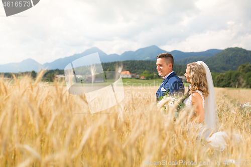 Image of Bride hugs groom tenderly in wheat field somewhere in Slovenian countryside.