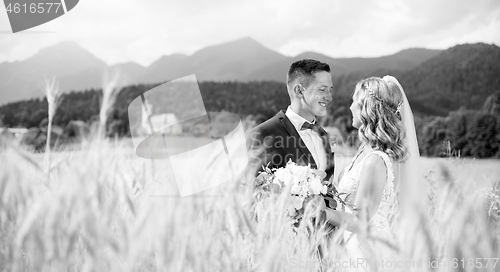 Image of Groom hugs bride tenderly in wheat field somewhere in Slovenian countryside.