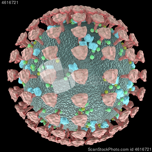 Image of Coronavirus cells