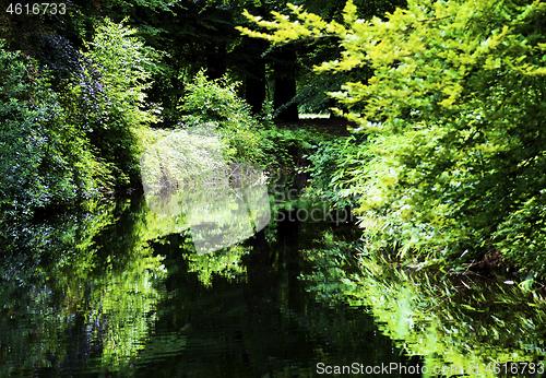 Image of Pond with Reflection of Trees