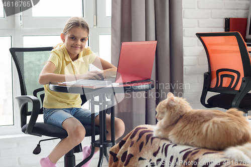 Image of The girl looked in the frame doing homework online at home, on the bed lies a cat