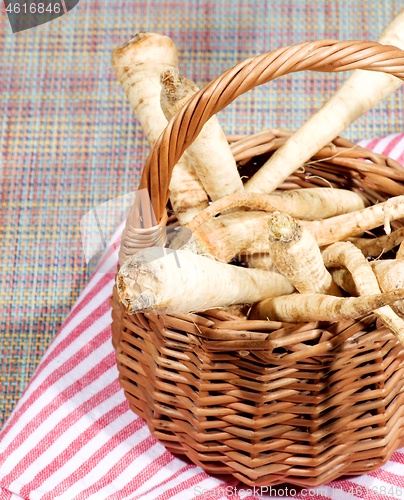 Image of Heap of Parsnip Roots