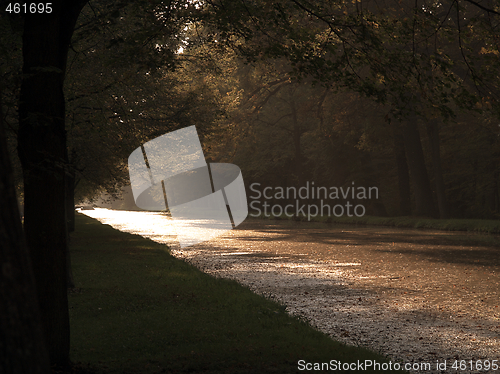 Image of Autumn