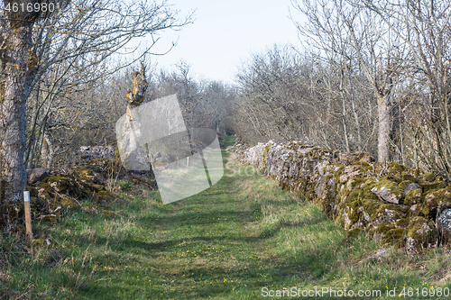 Image of Walkway surrounded by mossy dry stone walls