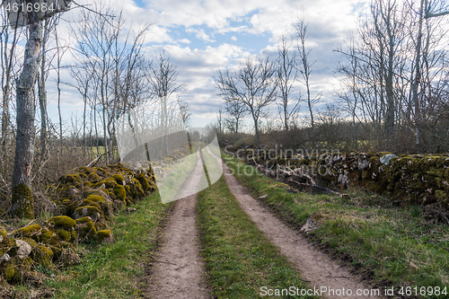 Image of Country road surrounded by mossy dry stone walls