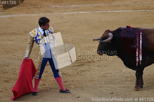 Image of Matador