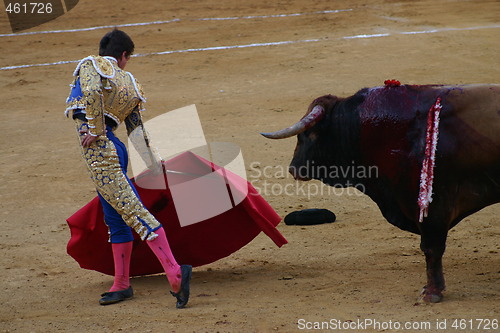 Image of Matador