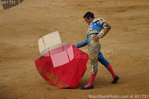 Image of Bullfighter