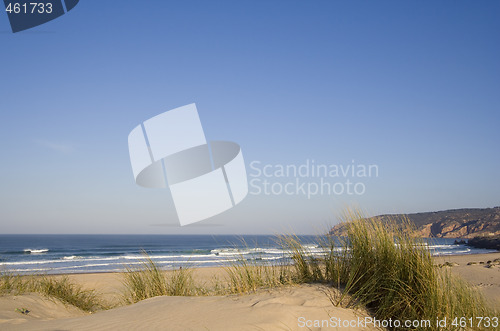 Image of Dune at the beach