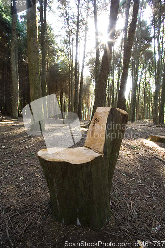 Image of Bench made of wood