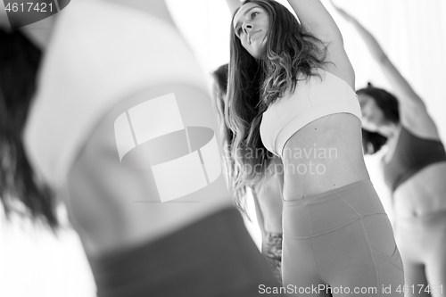 Image of Group of young sporty attractive women in yoga studio, practicing yoga lesson with instructor, standing, stretching and relaxing after workout . Healthy active lifestyle, working out. Black and white