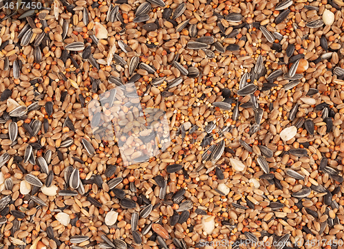 Image of Birdfood - Mixed seeds, grain, nuts and corn