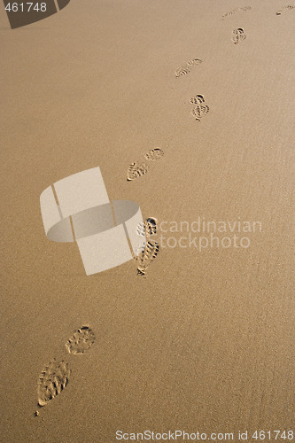 Image of Footsteps at the beach